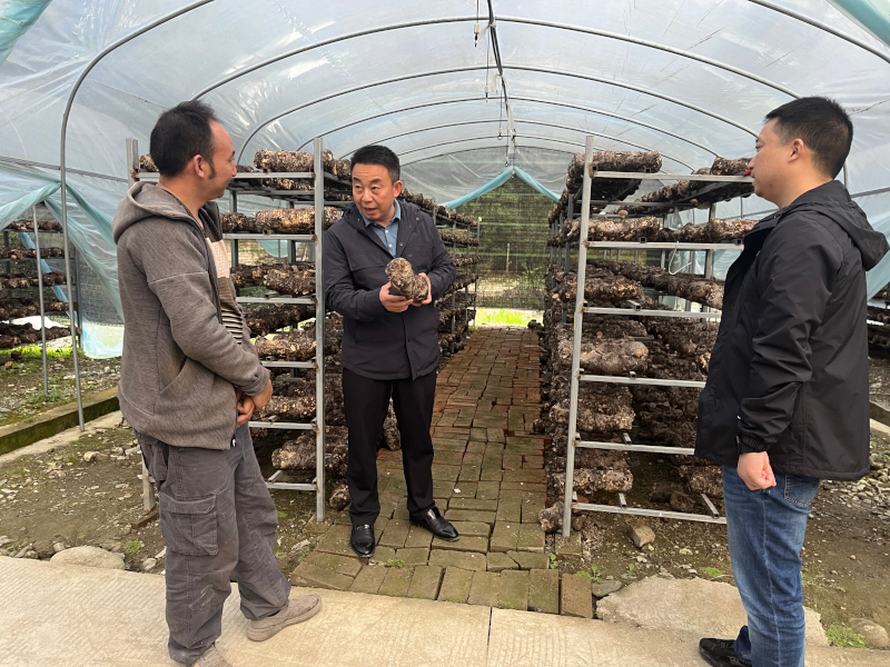 院党委书记罗建明带队赴平武县开展产业调研活动